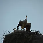 Maison d'hôtes Zapovedni Rai 4*