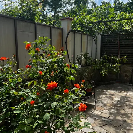 Πανσιόν Zapovedni Rai 4*