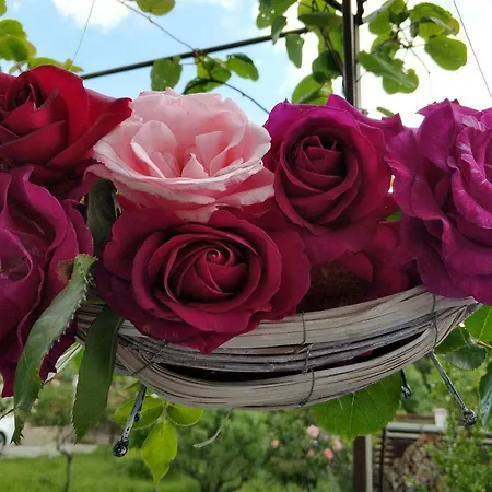 Zapovedni Rai Πανσιόν Πριμόρσκο