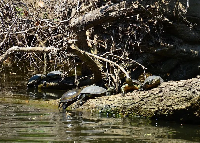 Zapovedni Rai Πανσιόν Πριμόρσκο