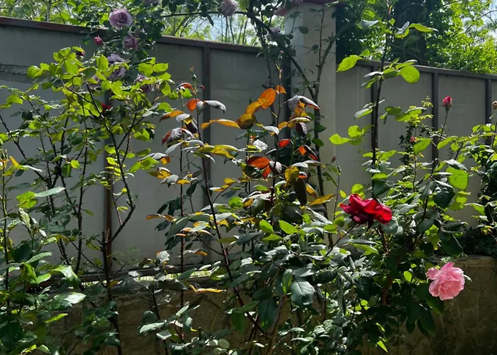 Zapovedni Rai Πανσιόν Πριμόρσκο