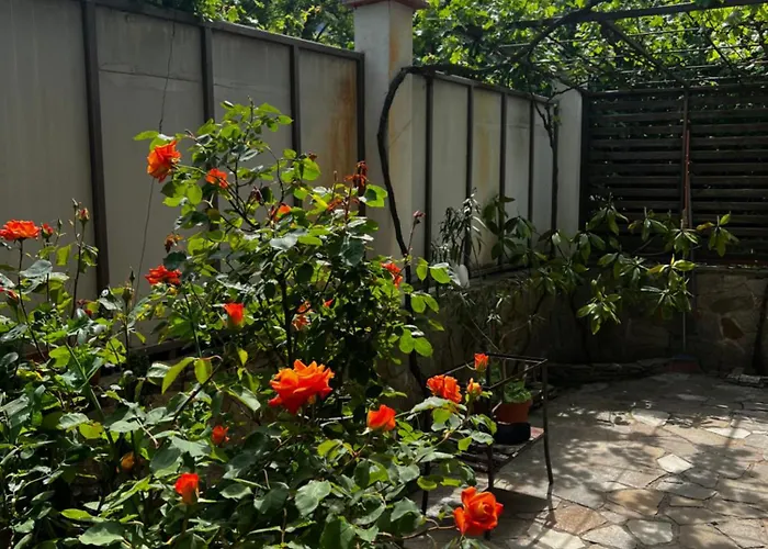 Πανσιόν Zapovedni Rai 4*