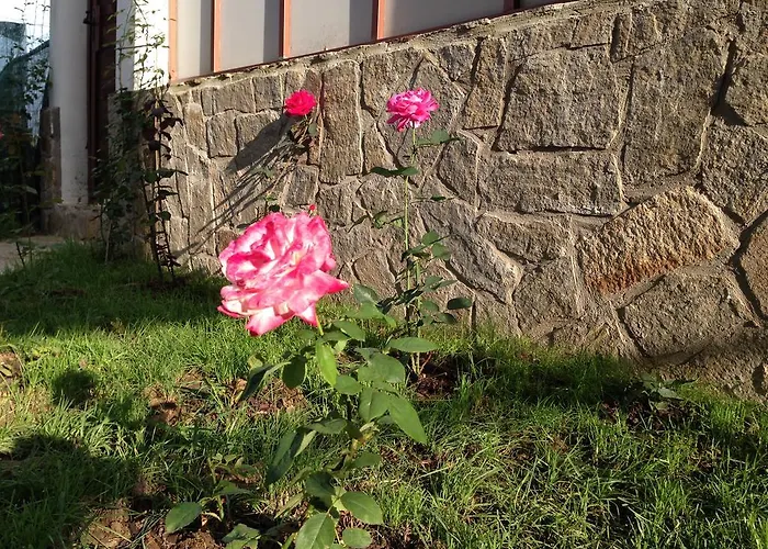 Πανσιόν Zapovedni Rai