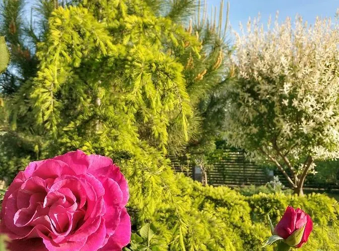 Πανσιόν Zapovedni Rai Πριμόρσκο