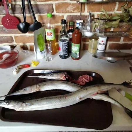 ゲストハウス Zapovedni Rai