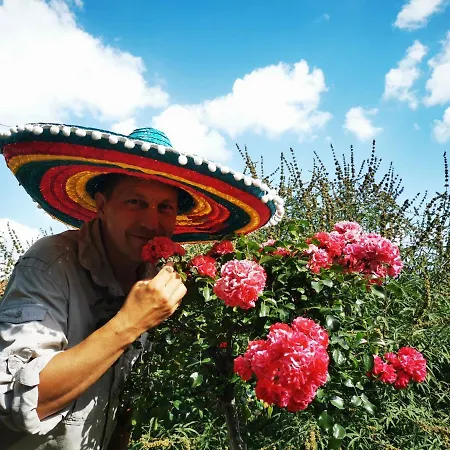 Zapovedni Rai ゲストハウス