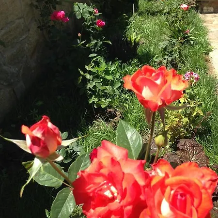 Zapovedni Rai プリモルスコ