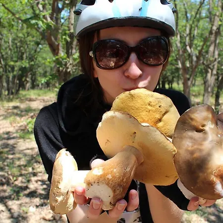 Zapovedni Rai プリモルスコ