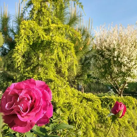 ゲストハウス Zapovedni Rai プリモルスコ