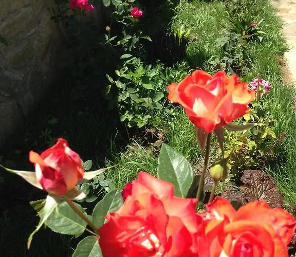 Zapovedni Rai 프리모르스코