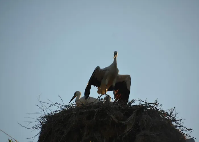 게스트하우스 Zapovedni Rai 4*