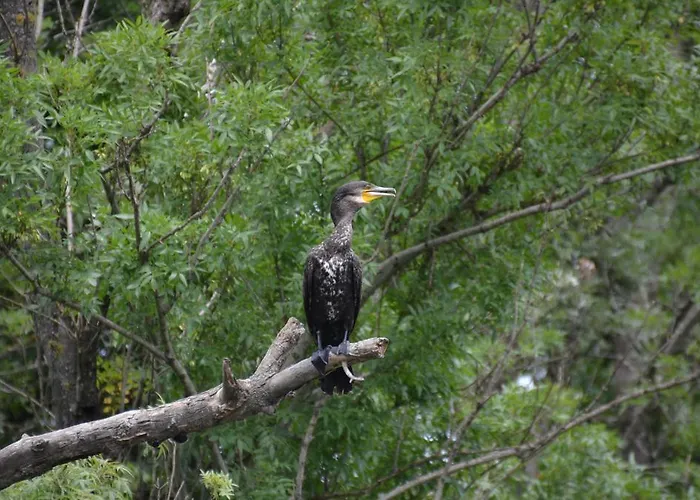 게스트하우스 Zapovedni Rai 프리모르스코