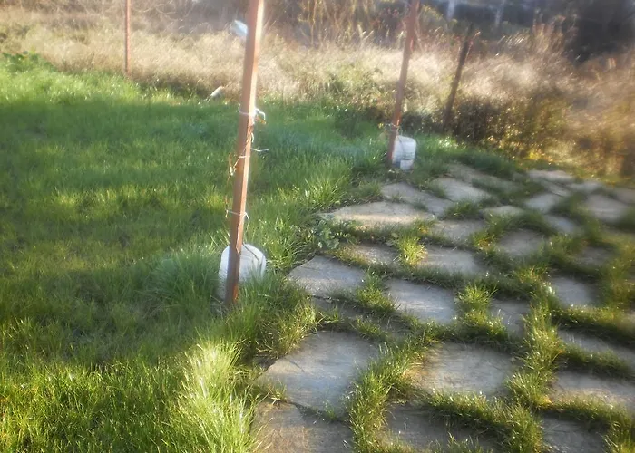 Zapovedni Rai 게스트하우스 4*