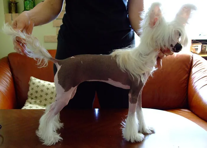 게스트하우스 Zapovedni Rai 프리모르스코