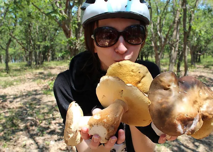 Zapovedni Rai 프리모르스코