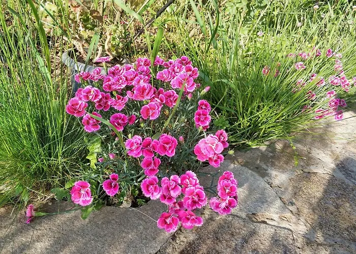 Zapovedni Rai 프리모르스코