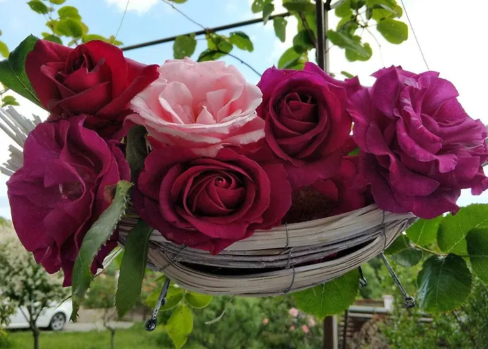 Zapovedni Rai 게스트하우스 프리모르스코