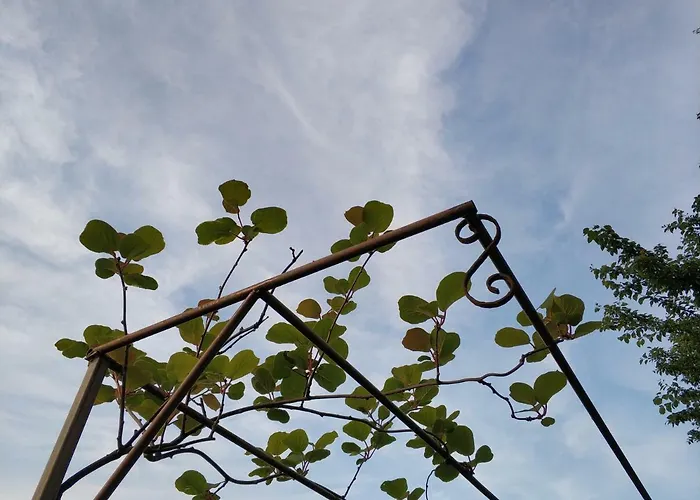 게스트하우스 Zapovedni Rai 프리모르스코